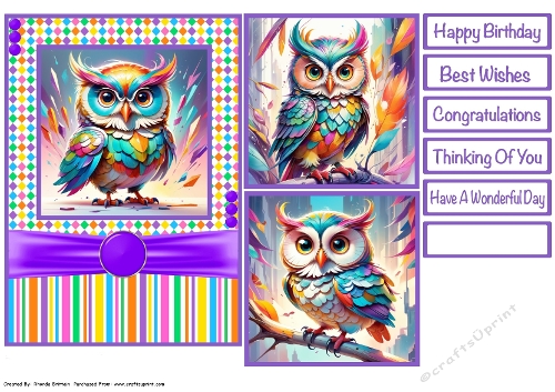 Whimsical Owl Card Front 5x7