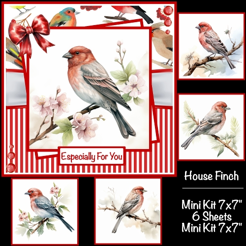 House Finch Mini Kit 7x7