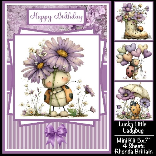 Lucky Little Ladybug Mini Kit 5x7 (4)