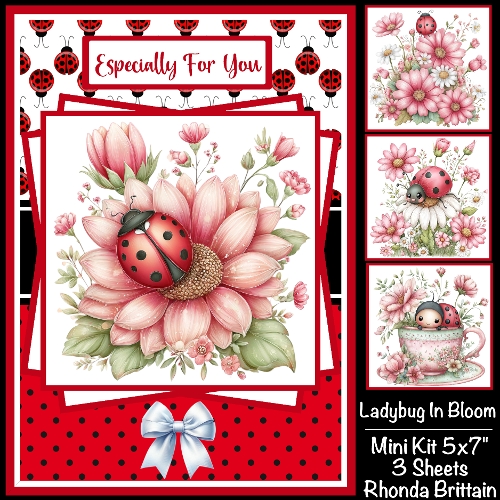 Ladybug In Bloom Mini Kit 5x7 (3)