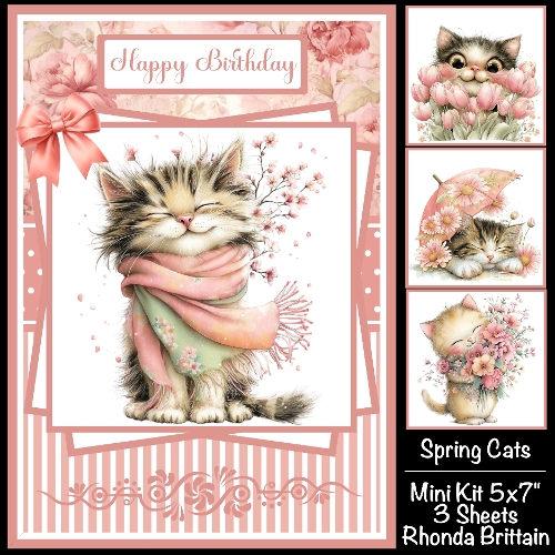 Spring Cats Mini Kit 5x7 (3) Plus Bonus