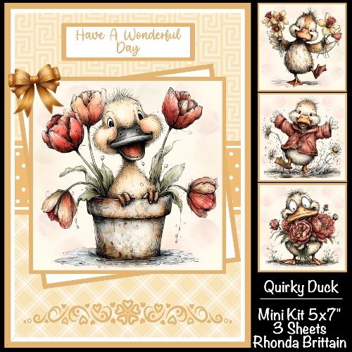 Quirky Duck Mini Kit 5x7 (3)