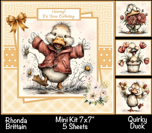 Quirky Duck Mini Kit 7x7 (5)