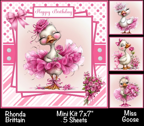 Miss Goose Mini Kit 7x7 (5)