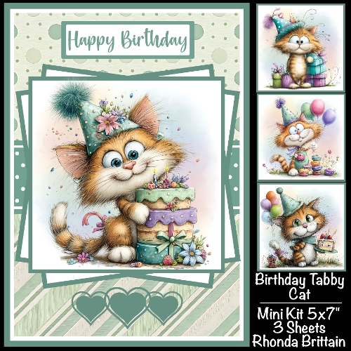 Birthday Tabby Cat Mini Kit 5x7 (3)