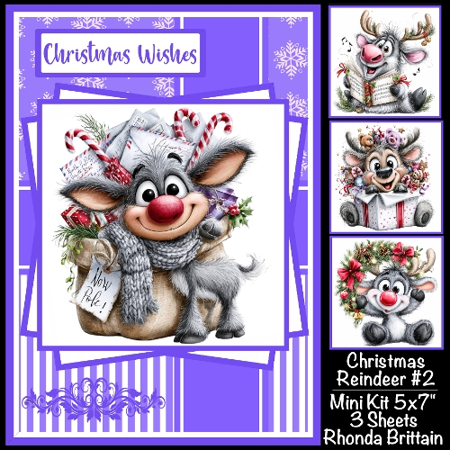 Christmas Reindeeer #2 Mini Kit 5x7 (3)