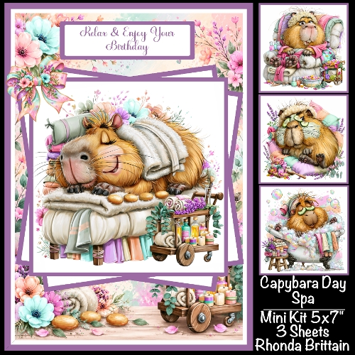 Capabara Day Spa Mini Kit 5x7 (3)