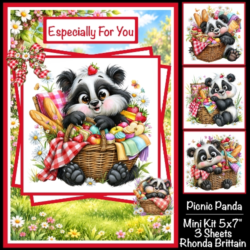 PIcnic Panda Mini Kit 5x7 (3)