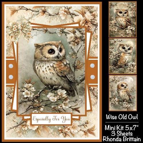Wise Old Owl Mini Kit 5x7 (3)