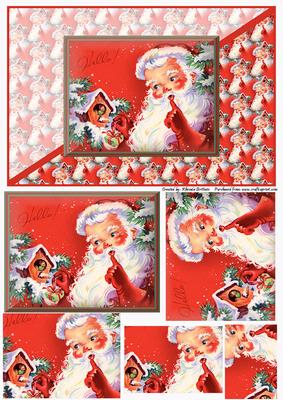Santa Giving Little Bird a Present Card Front