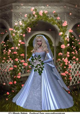 A4 Bride in Blue Card or Topper