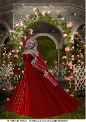 A4 Bride in Red Card or Topper