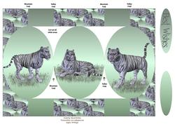 Tiger Pop Up