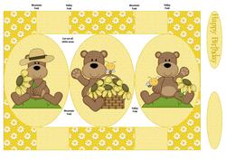 Sunflower Bear Tri Shutter