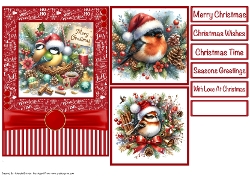 Christmas Birds Card Front 5x7