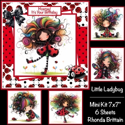 Little Ladybug Mini Kit 7x7