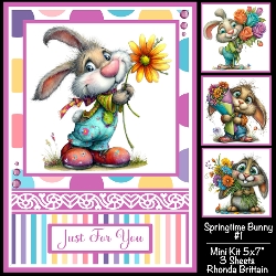 Springtime Bunny #1 Mini Kit 5x7 (3)