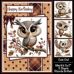 Cute Owl Mini Kit 5x7 (3)