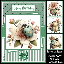 cup1425719_40 - Spring Ladybug Mini Kit 5x7 (3)