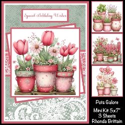 Pots Galore Mini Kit 5x7 (3)