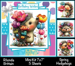 Spring Hedgehog Mini Kit 7x7 (3) *Customer Request*