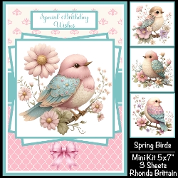 Spring Birds Mini Kit 5x7 (3)