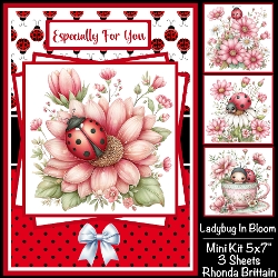 Ladybug In Bloom Mini Kit 5x7 (3)