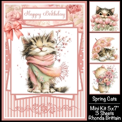 Spring Cats Mini Kit 5x7 (3) Plus Bonus