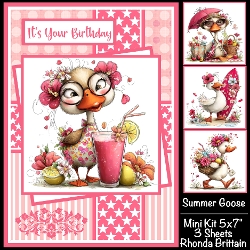 Summer Goose Mini Kit 5x7 (3) Plus Bonus