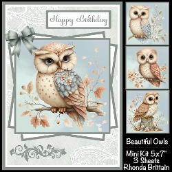 Beautiful Owls Mini Kit 5x7 (3) Plus Bonus