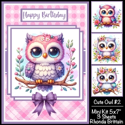 Cute Owl #2 Mini Kit 5x7 (3) Plus Bonus