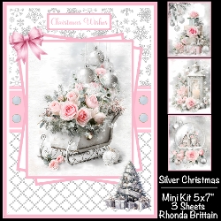 Silver Christmas Mini Kit 5x7 (3)