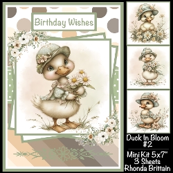 Duck In Bloom #2 Mini Kit 5x7 (3)