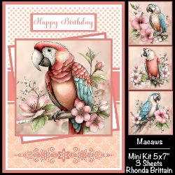 Macaws Mini Kit 5x7 (3)