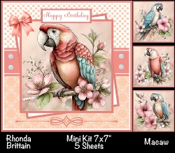 Macaws Mini Kit 7x7 (5)