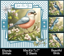 Beautiful Birds Mini Kit 7x7 (5)