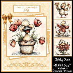 Quirky Duck Mini Kit 5x7 (3)