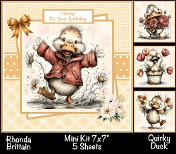 Quirky Duck Mini Kit 7x7 (5)