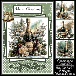 Champagne Christmas Mini Kit 5x7 (3)