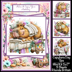 Capabara Day Spa Mini Kit 5x7 (3)