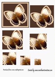 Brown Butterfly Pyramid