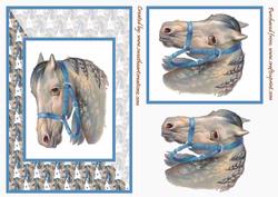 Horse Card Front