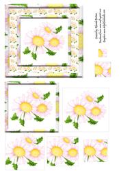 Pink Daisy Card Front