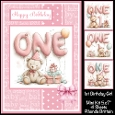 1st Birthday Girl Mini Kit 5x7 (4)