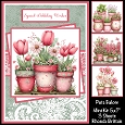 Pots Galore Mini Kit 5x7 (3)