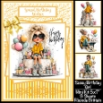 Sassy Birthday Mini Kit 5x7 (3) Plus Bonus