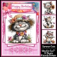 Summer Cats Mini Kit 5x7 (3) Plus Bonus
