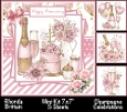 Champagne Celebrations Mini Kit 7x7 (5)
