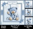 1st Birthday Boy Mini Kit 7x7 (5)