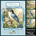 Beautiful Birds Mini Kit 5x7 (3)